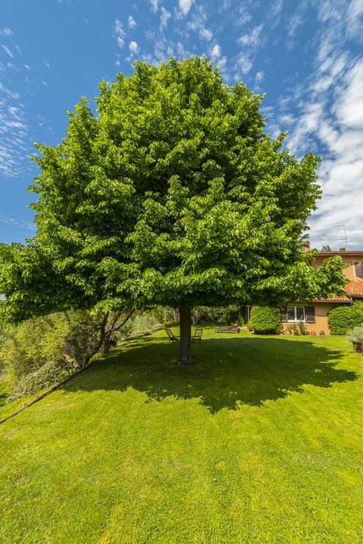 B&B Acque Lucenti Sacrofano Kültér fotó
